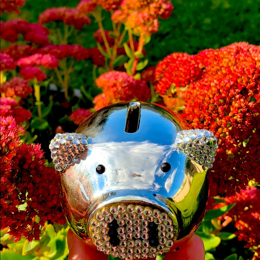 Mini piggy bank